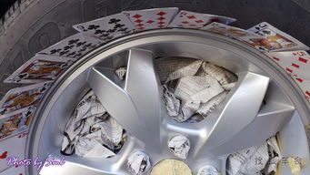 s6爆改炫色輪轂與車用床墊升級，生物技術開發服務的跨界融合