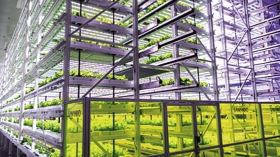 中國式現(xiàn)代化之路 生物技術(shù)開發(fā)服務(wù)的崛起與前景